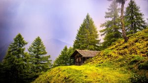 Logement insolite en cabanes perchées